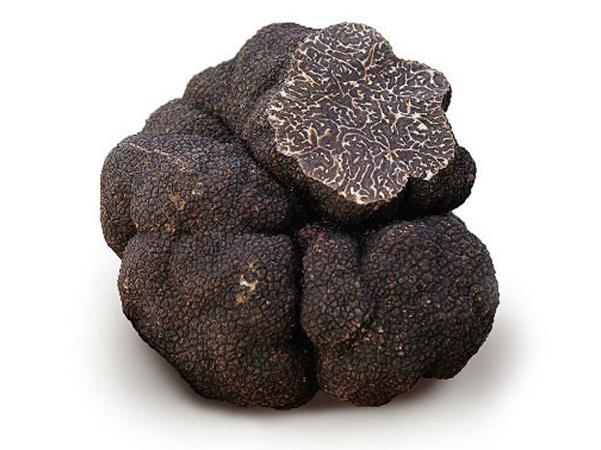 Truffe noire - fraiche (Liposoluble)