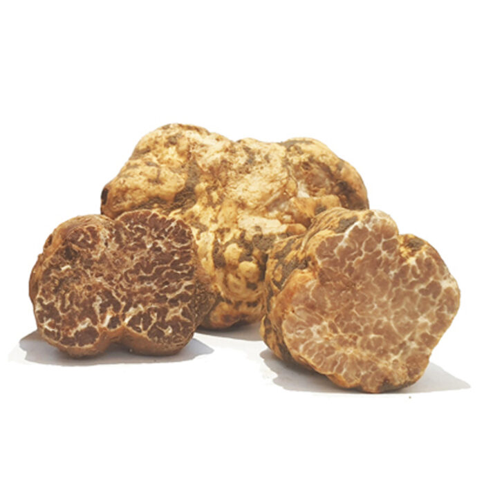 Truffe bianchetto fraîche