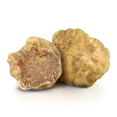Truffe blanche fraîche