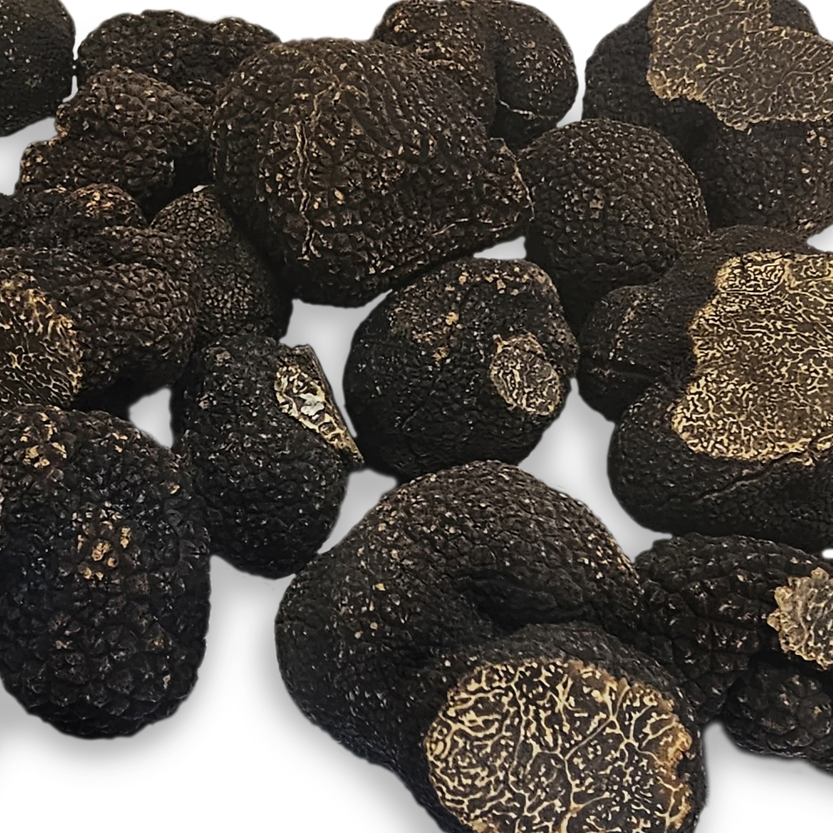 Truffe noire fraîche prisé d’Amérique du Sud – Image 3