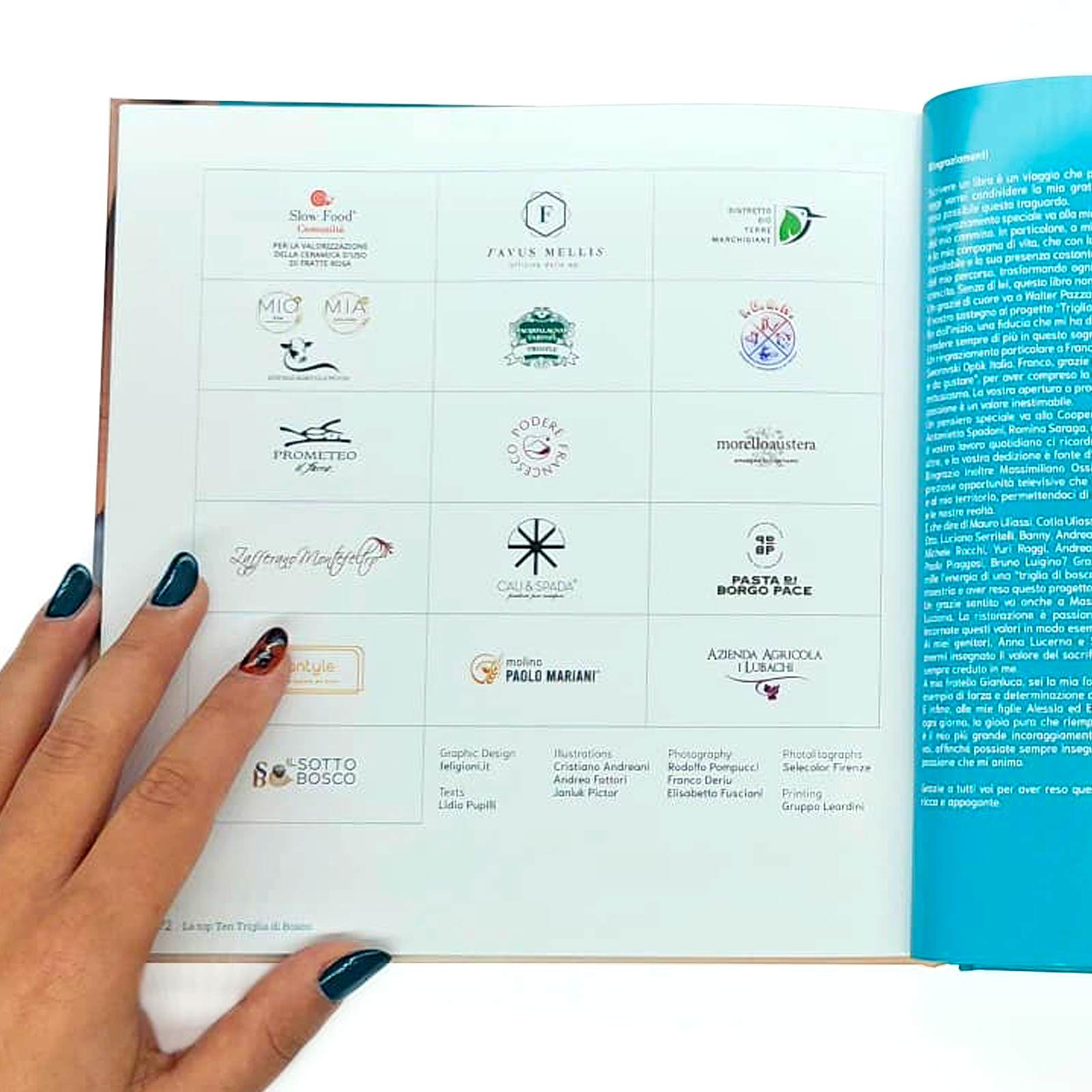 Le Top Ten de Trigliadibosco – Image 3